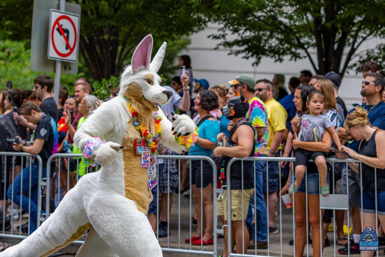 Lilia Roo walking in the Anthrocon Parade.